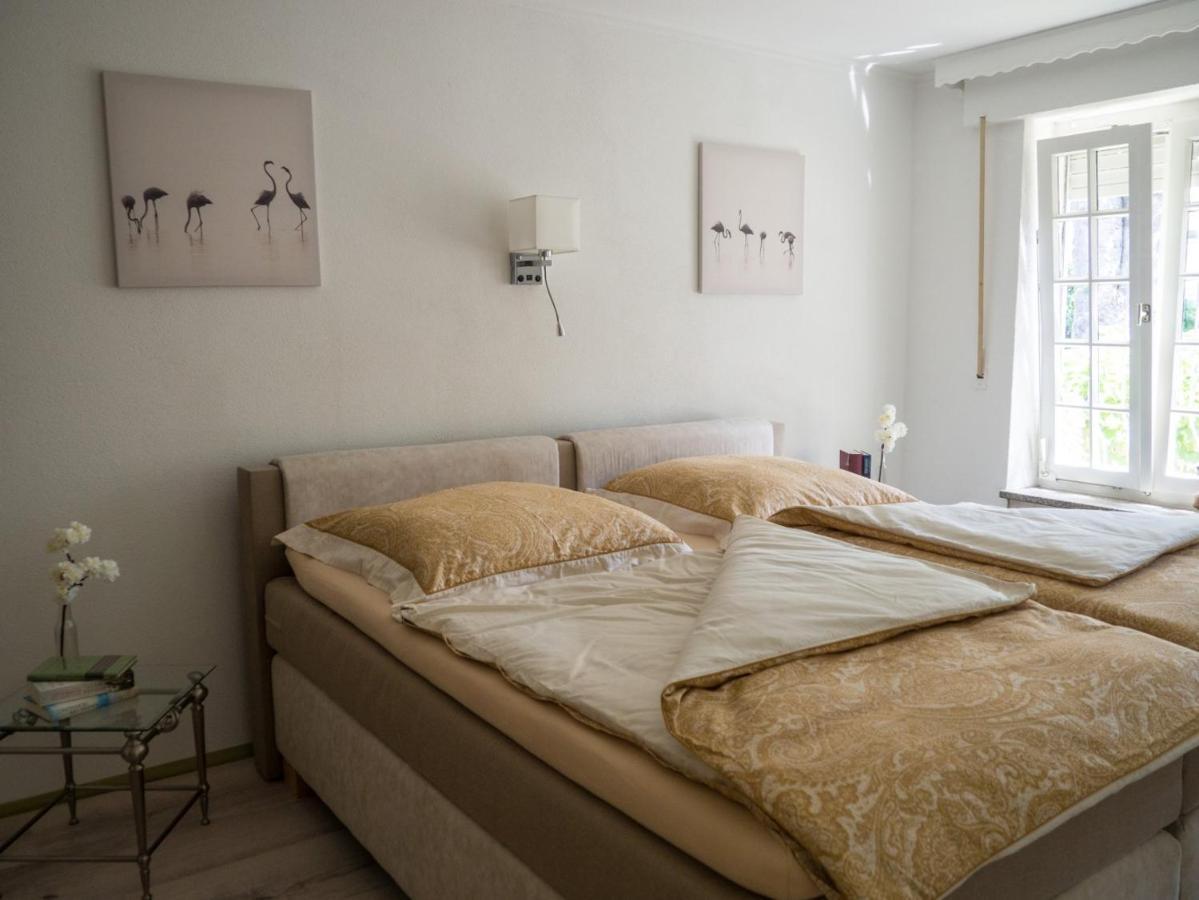 Ferienwohnung Am Rheinsteig 本多夫 外观 照片